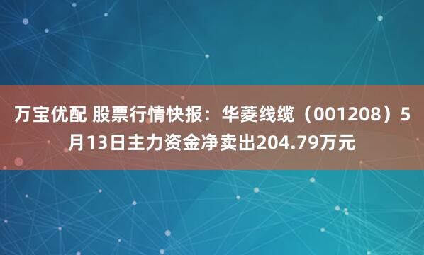 万宝优配 股票行情快报：华菱线缆（001208）5月13日主力资金净卖出204.79万元