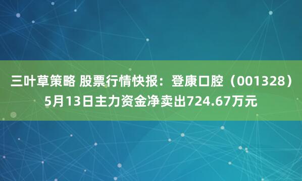 三叶草策略 股票行情快报：登康口腔（001328）5月13日主力资金净卖出724.67万元